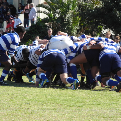 Ein Rugby 'Scrum'. Ein Scrum ist eine der Möglichkeiten, ein unterbrochenes Rugbyspiel weiterlaufen zu lassen.
