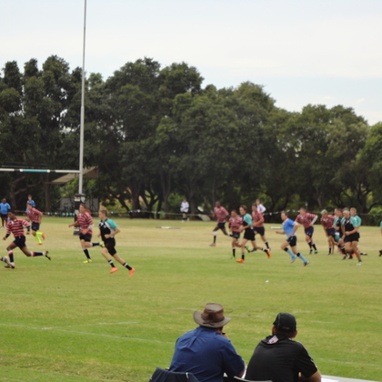 Rugby ist eine der wichtigsten Sportarten in Südafrika!